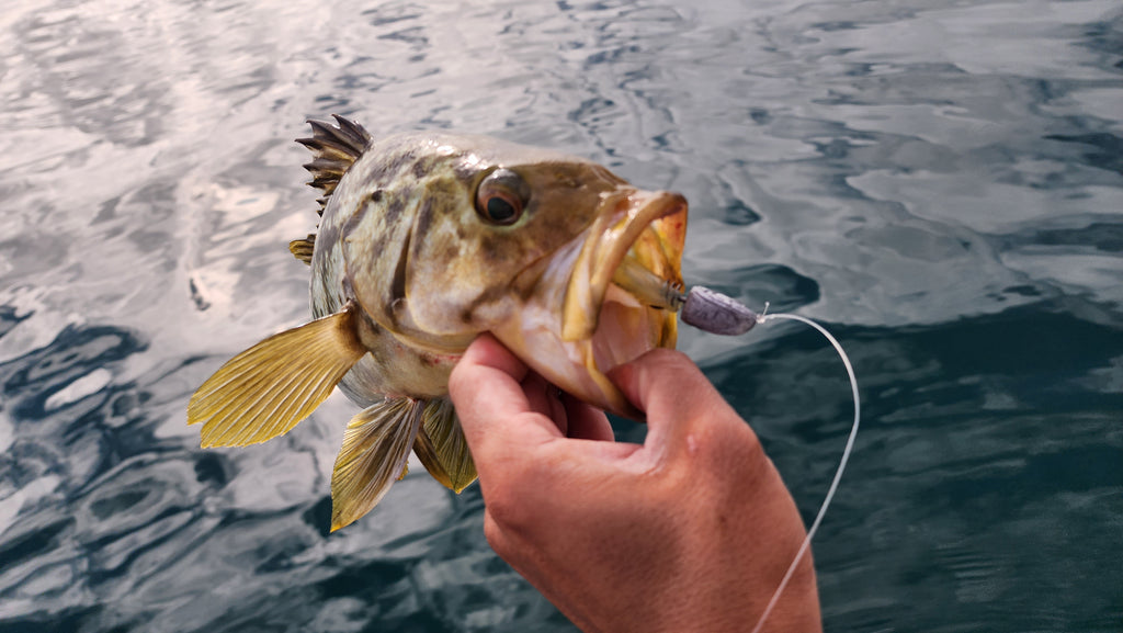Defiant Jighead RAW