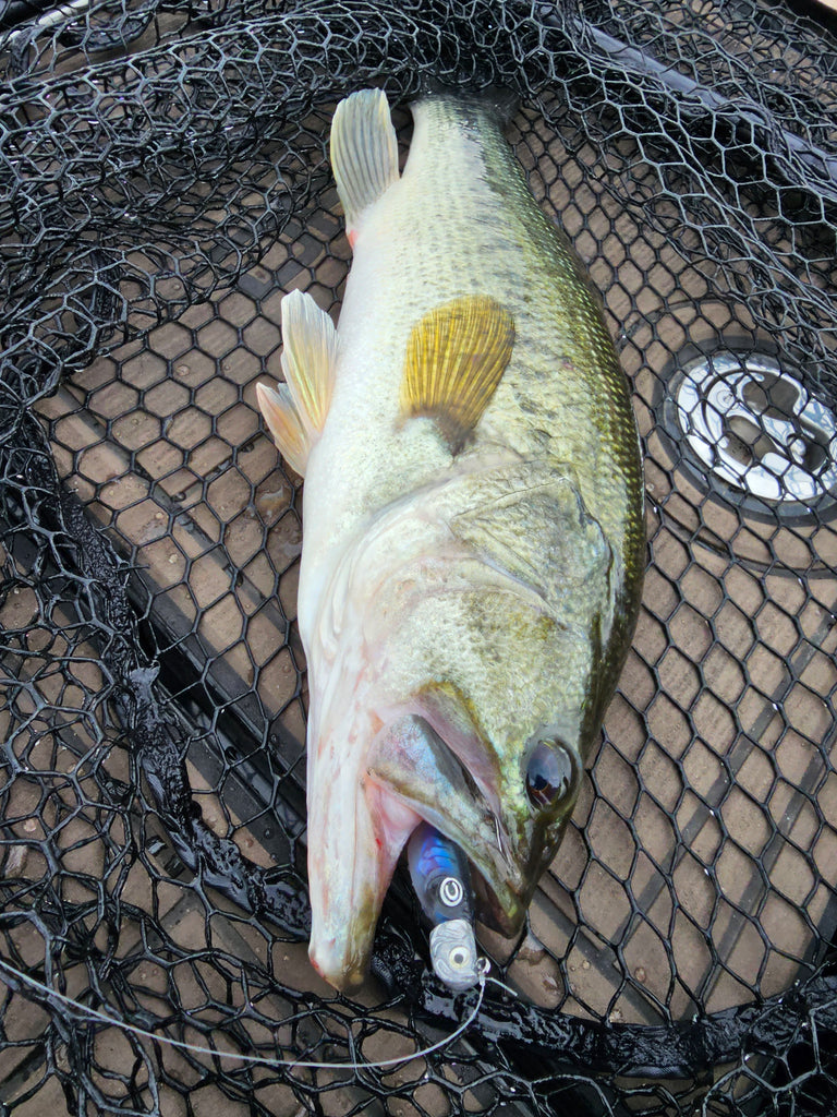 Defiant Jighead RAW