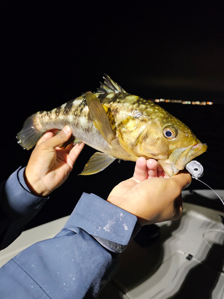 Defiant Jighead RAW