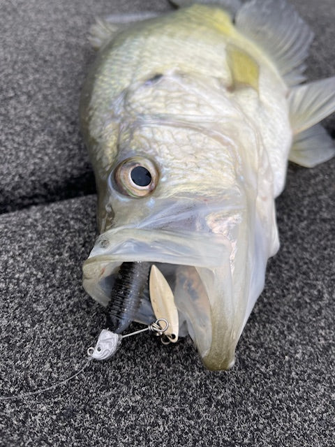 Defiant Jighead Underspin RAW
