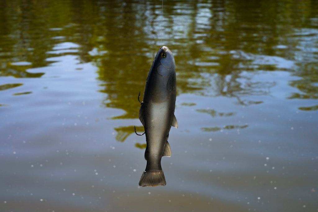 DEFIANT 247 Swimbait Ghost Silver Shad
