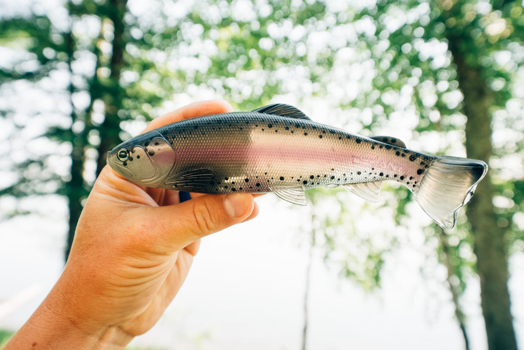 DEFIANT 210 8.25" Swimbait Ghost Light Trout