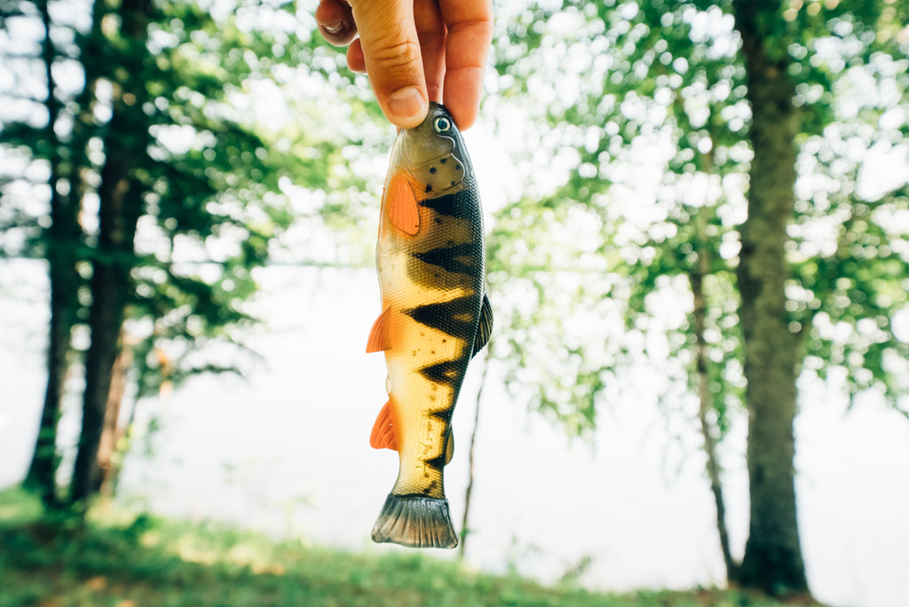DEFIANT 210 8.25" Swimbait Ghost Perch