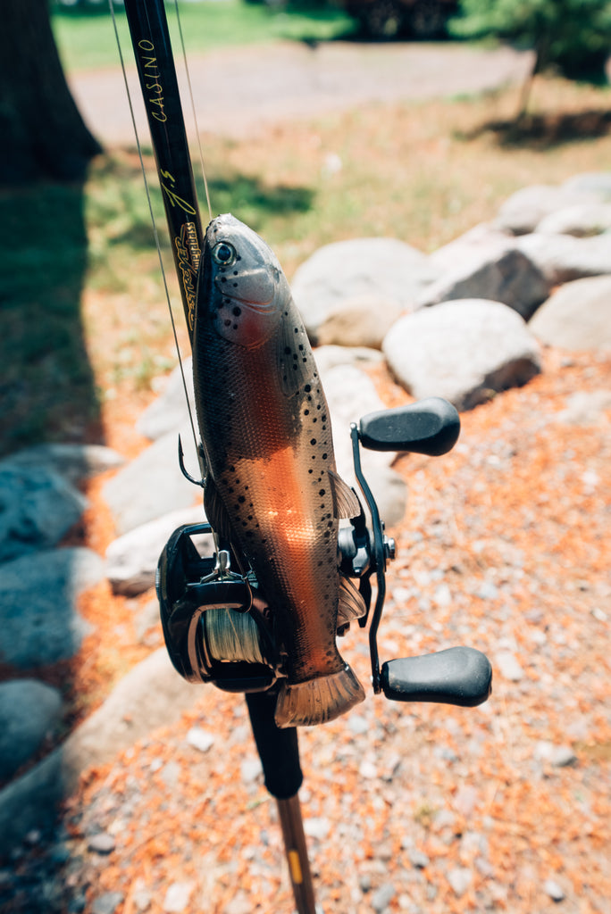 DEFIANT 210 8.25" Swimbait Ghost Dark Trout