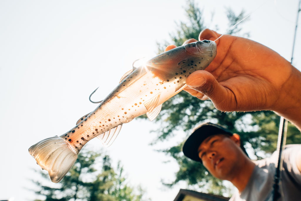 DEFIANT 210 8.25" Swimbait Ghost Dark Trout