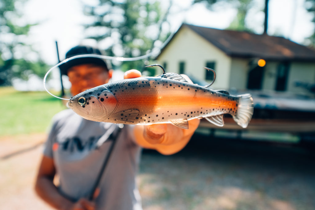 DEFIANT 210 8.25" Swimbait Ghost Dark Trout