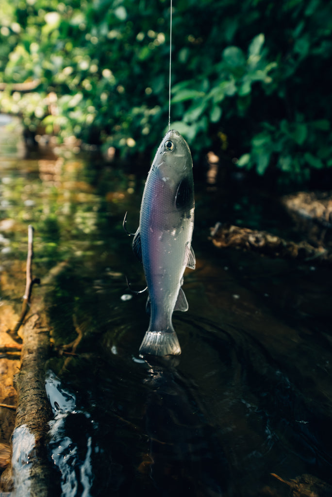 DEFIANT 210 8.25" Swimbait Ghost Baitfish