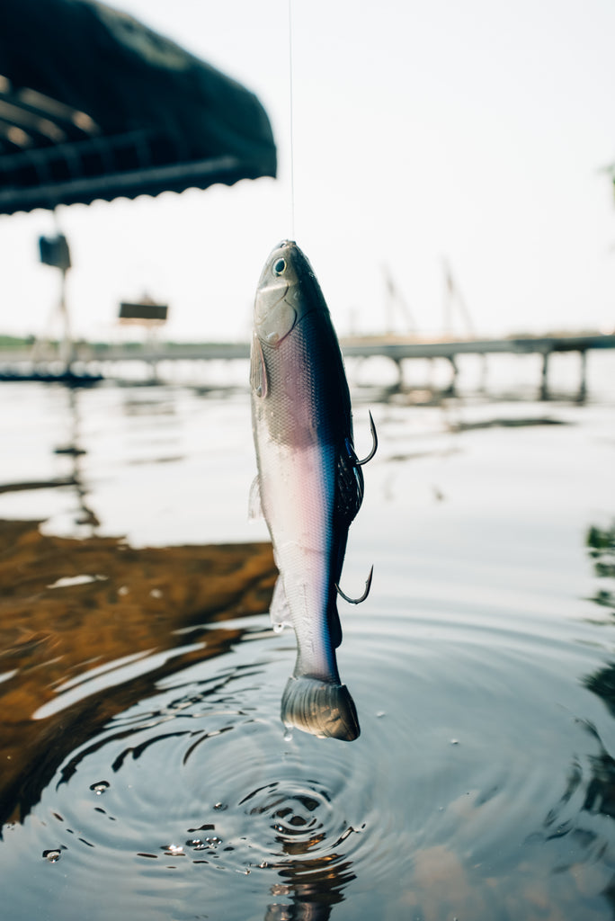 DEFIANT 210 8.25" Swimbait Ghost Baitfish