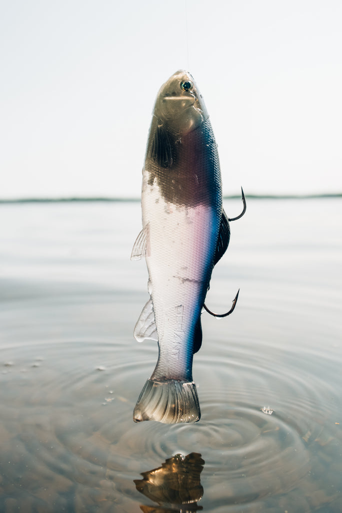 DEFIANT 210 8.25" Swimbait Ghost Baitfish