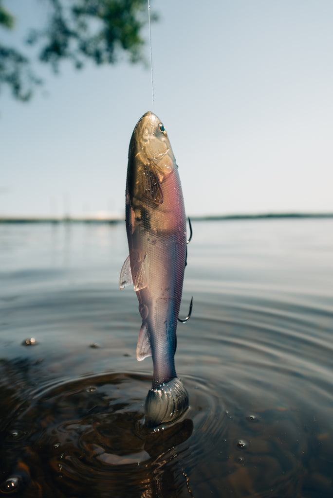DEFIANT 210 8.25" Swimbait Ghost Baitfish