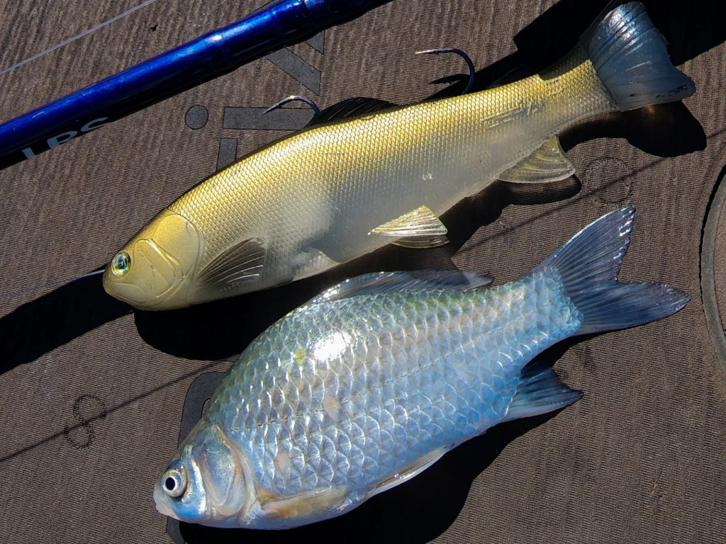 DEFIANT 247 Swimbait Ghost Carp