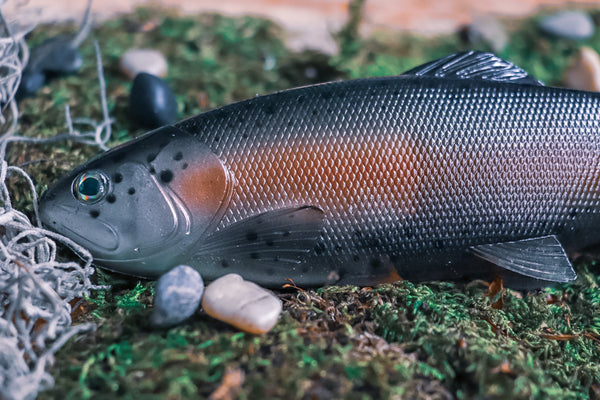 DEFIANT 210 8.25 Swimbait Baitfish – Defiant Fishing