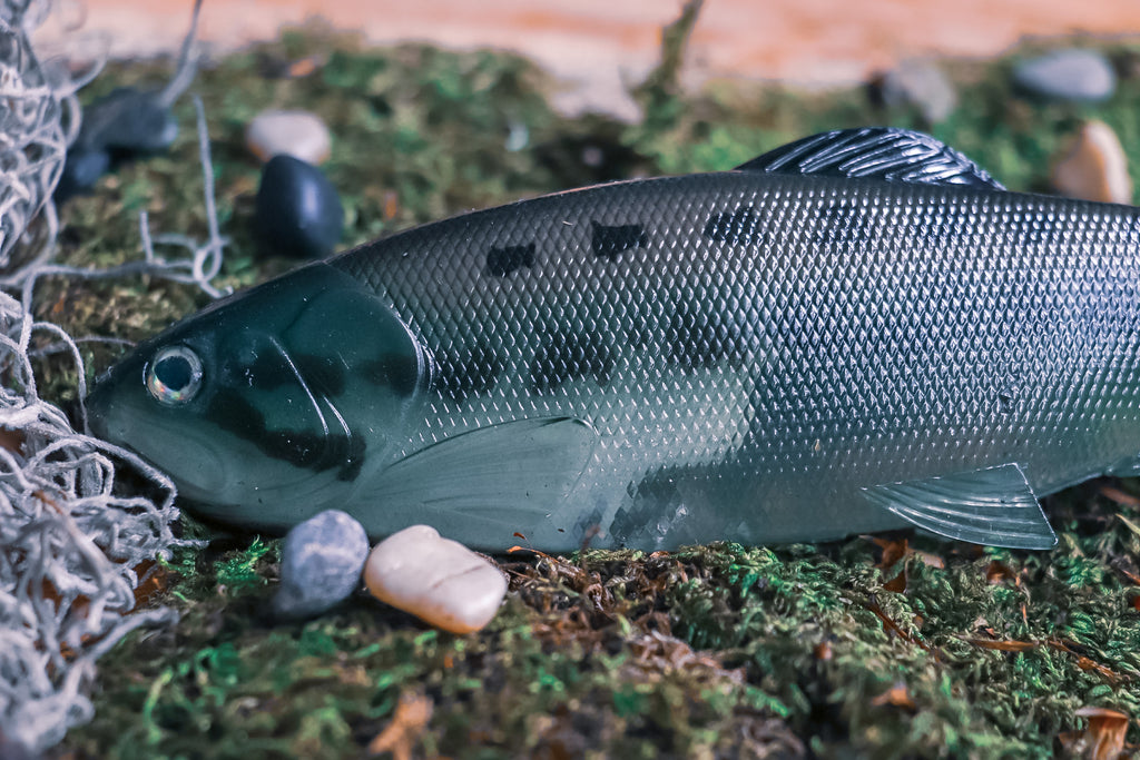 DEFIANT 210 8.25" Swimbait Ghost Black Bass