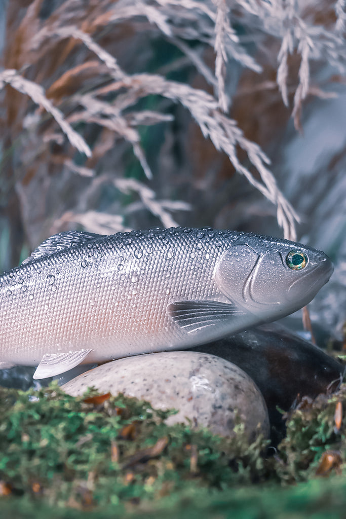 DEFIANT 210 8.25" Swimbait  Carp