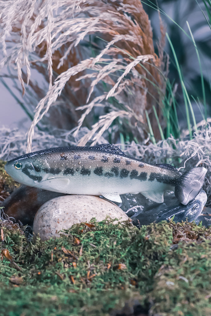 DEFIANT 210 8.25" Swimbait Black Bass