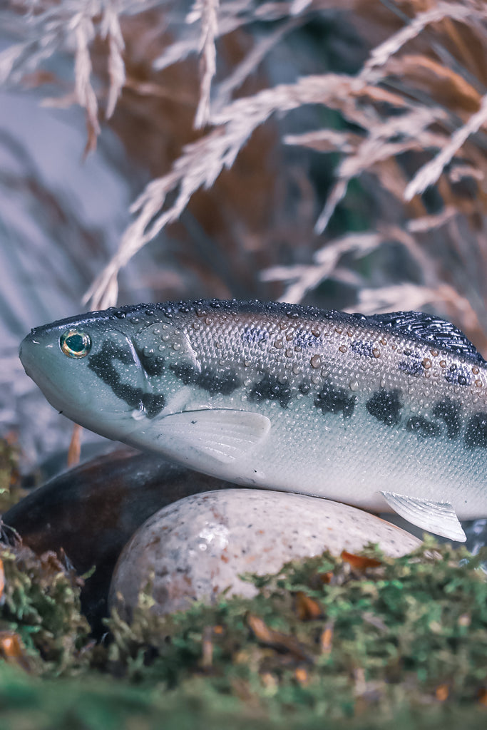 DEFIANT 210 8.25" Swimbait Black Bass