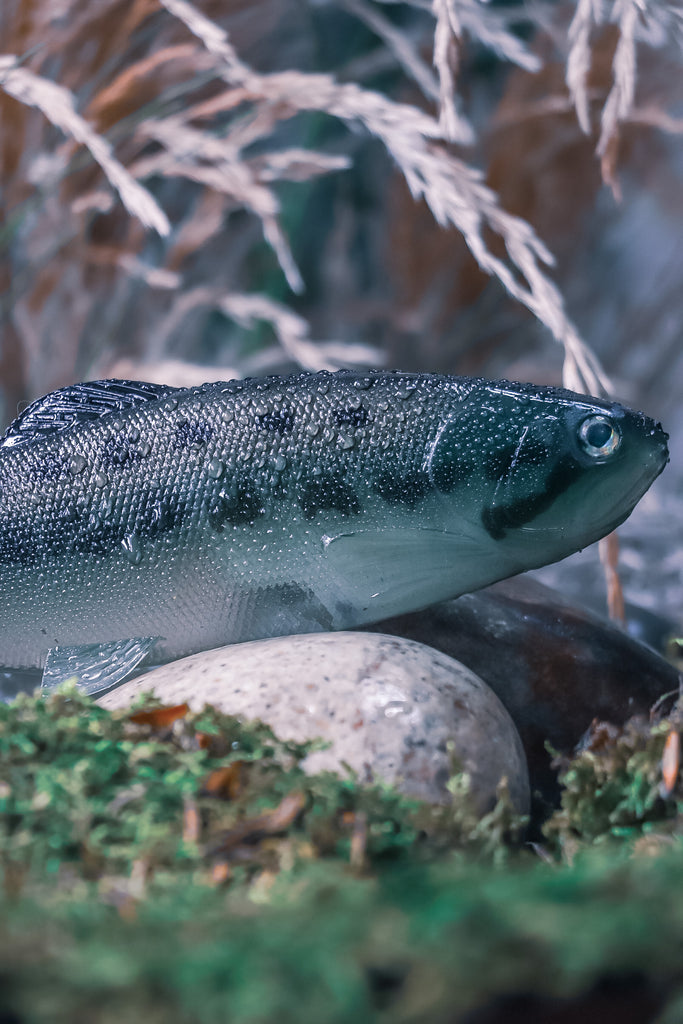 DEFIANT 210 8.25" Swimbait Ghost Black Bass