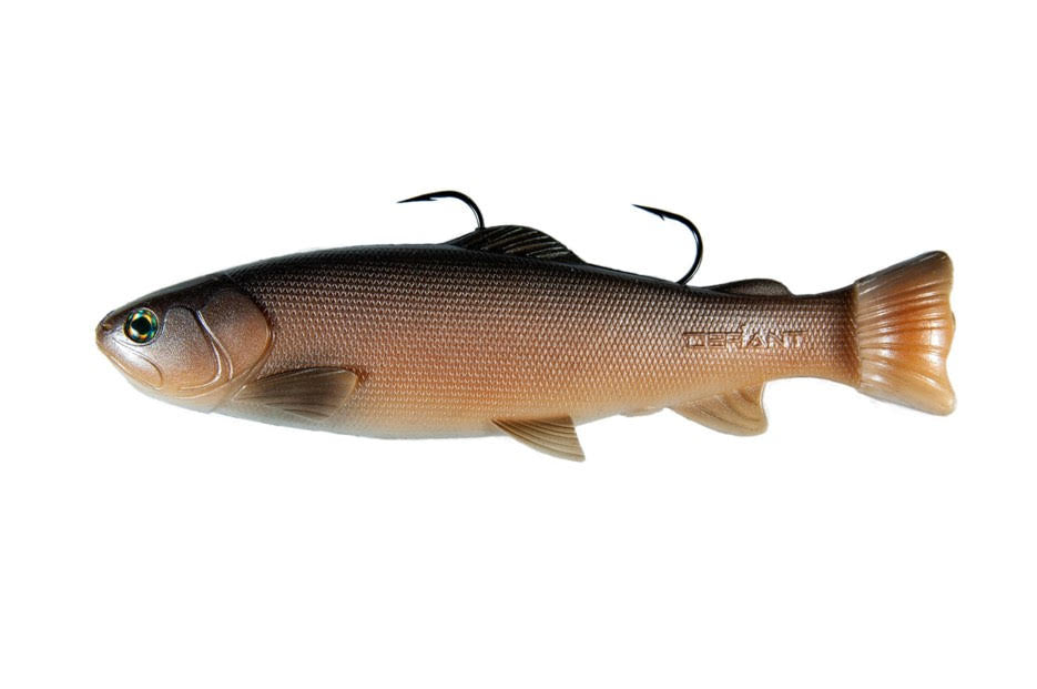 DEFIANT 247 Swimbait Carp